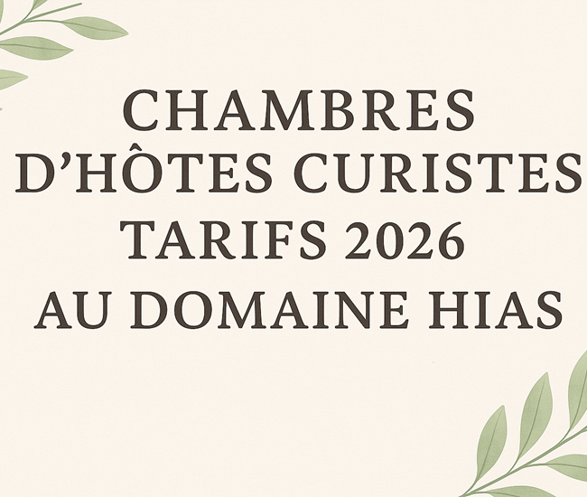 Chambres d’hôtes Curistes avec espace convivial au Domaine Hias-photo-news