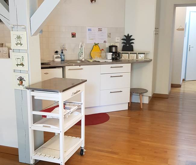 Cuisine en commun, au niveau des chambres d'hôtes où vous pouvez préparer un repas-photo-news