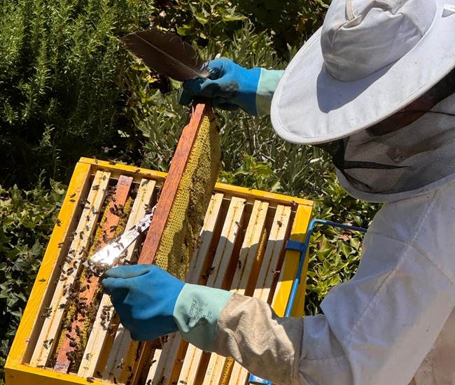 Sans titre-photo-page