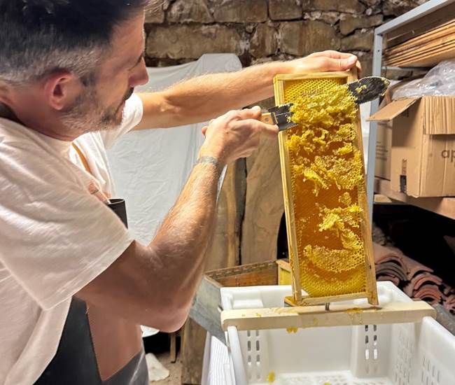 Extraction du miel de La Maison des Etoiles-photo-page