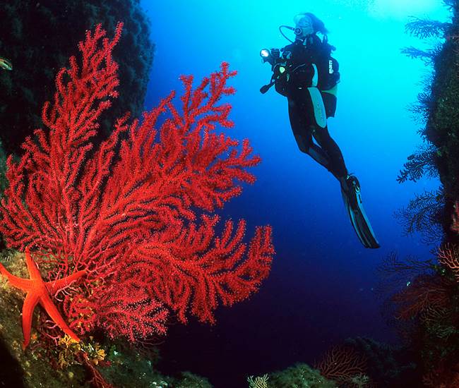 Sans titre-photo-page