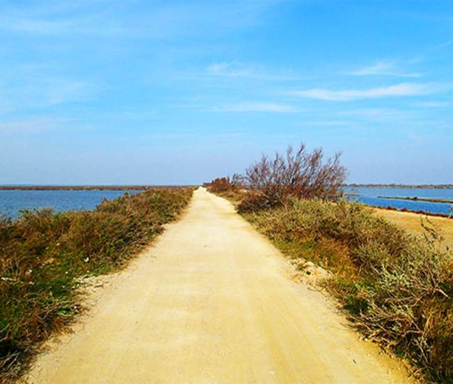 Sans titre-photo-news