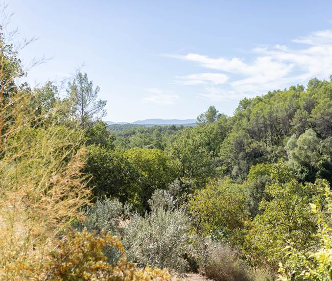 Activités Nature à Flayosc dans le Var et La Provence-photo-news
