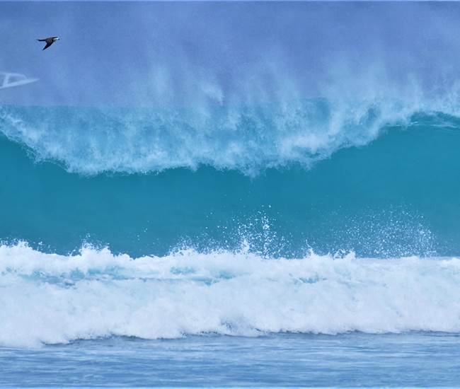 OCEAN 7 ©Ch_JOST-photo-news