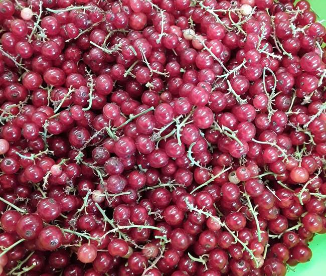 Sans titre-photo-news