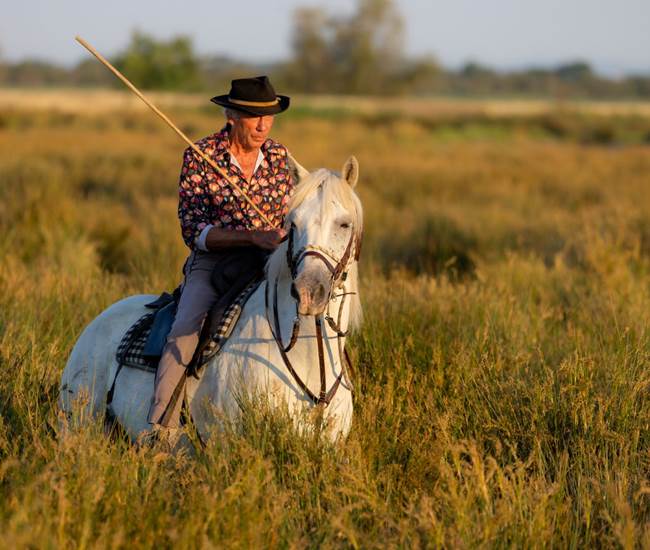 Sans titre-photo-news