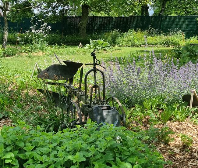 Belaora Verger aromatique en mouvement-photo-page