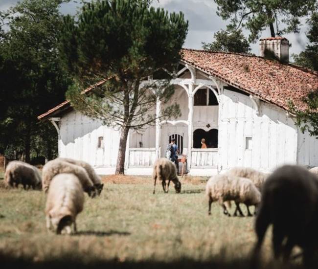 Ecomusée de Marqueze dans les Landes-photo-page