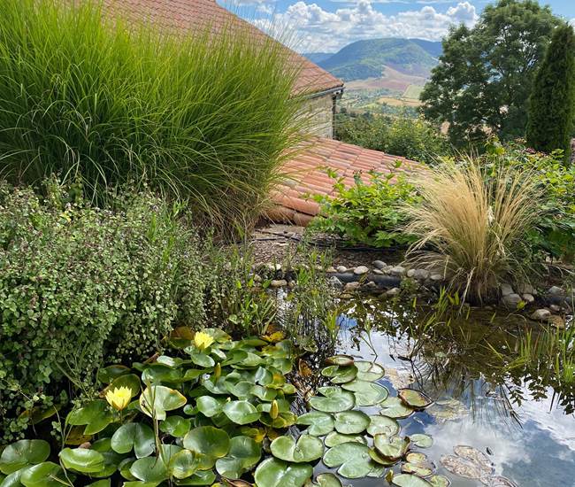 Bassin à Poissons-photo-page