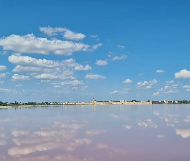 L'étang rose de la Ville-photo-page