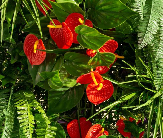 OCEAN 7 - Ambiance ?-photo-page