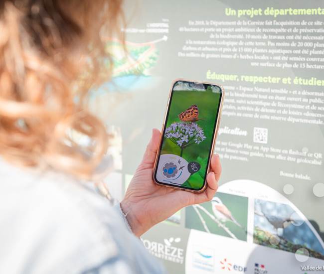 Sans titre-photo-page