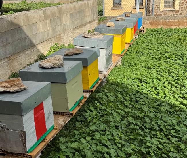 Sans titre-photo-page