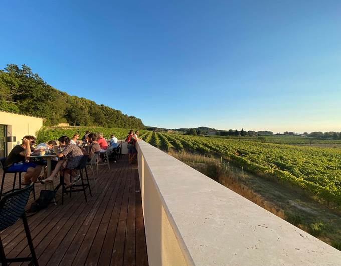 terrace vue vignes 2