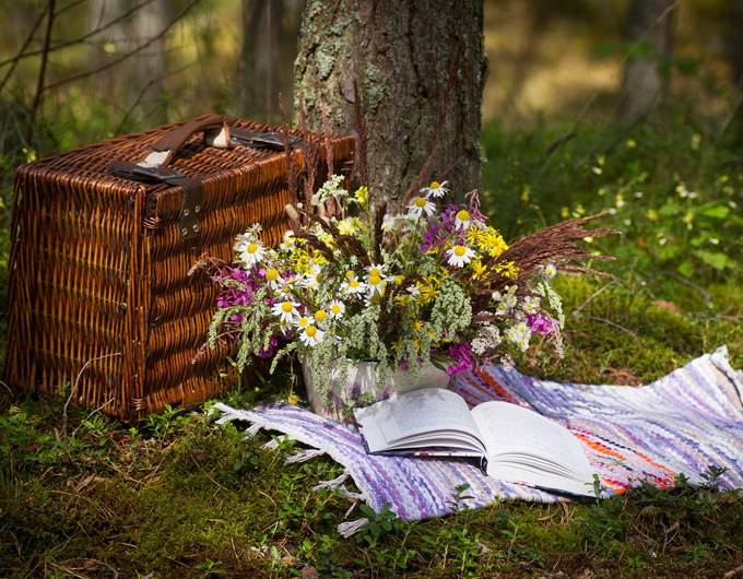 Panier pique nique ©Kristine Lejniece