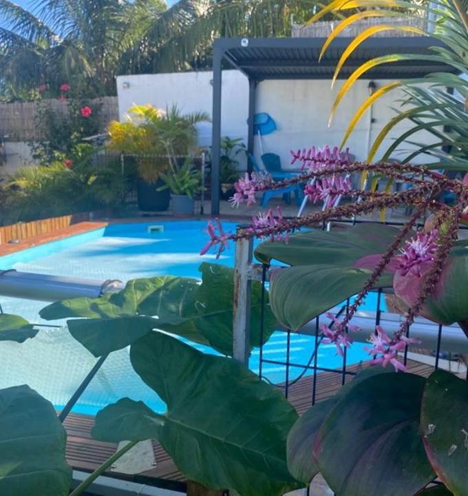 LES TOURTERELLES - Piscine