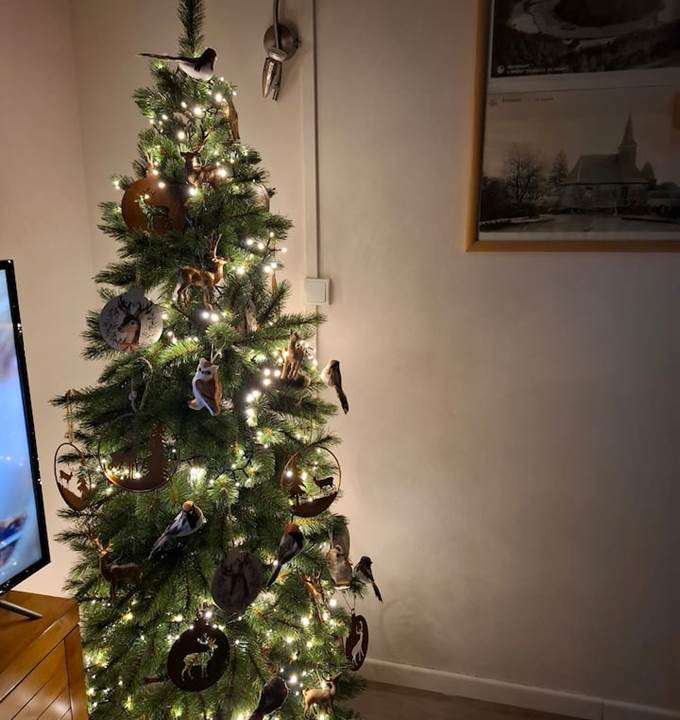 Jolie sapin de noël 