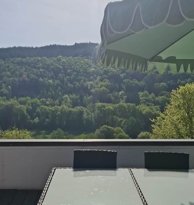 Vue panoramique depuis le balcon 