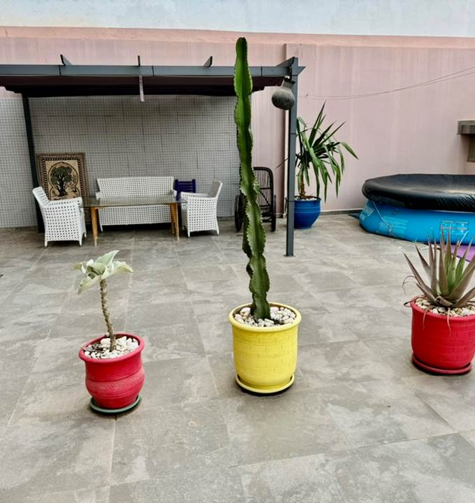 COUR PRIVEE 100 M2 PISCINE HORS SOL 3 m x 70 cm