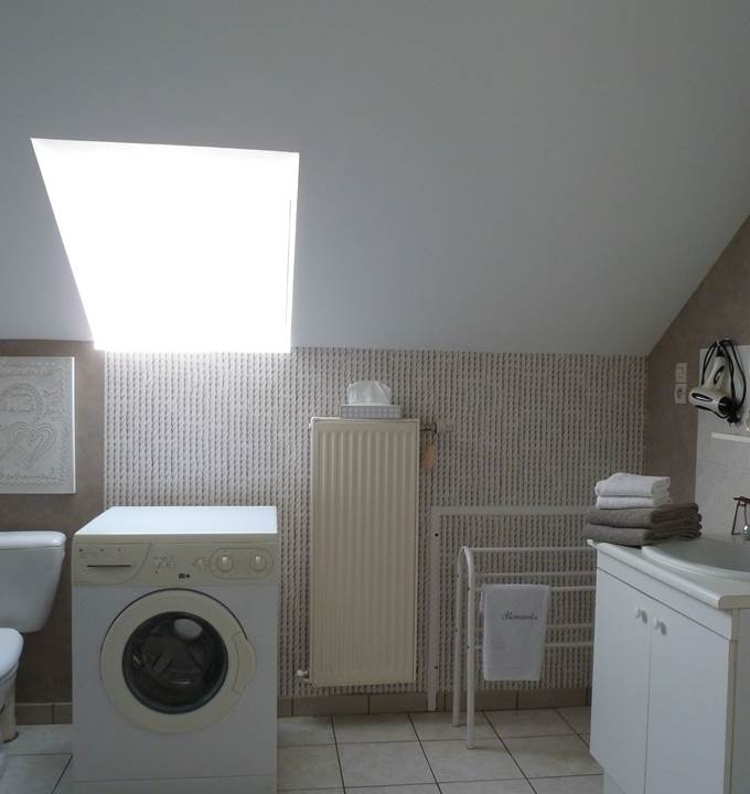 La salle de douche - Lave-linge