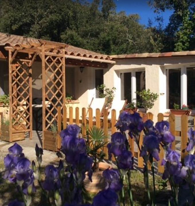 Bignone exterieur printemps