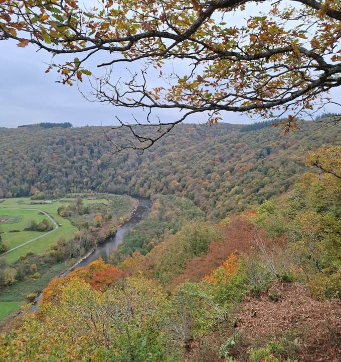 Jolie paysage 