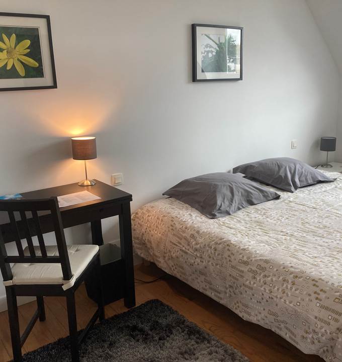 chambre Baptisie