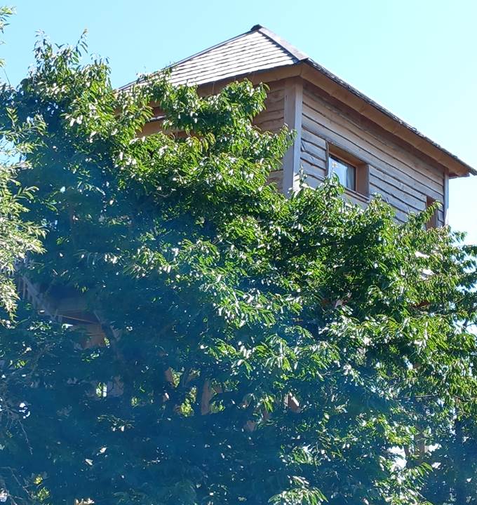Cabane au dessus des Arbres