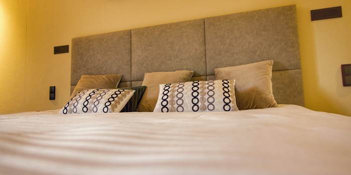 Chambre Bacchus