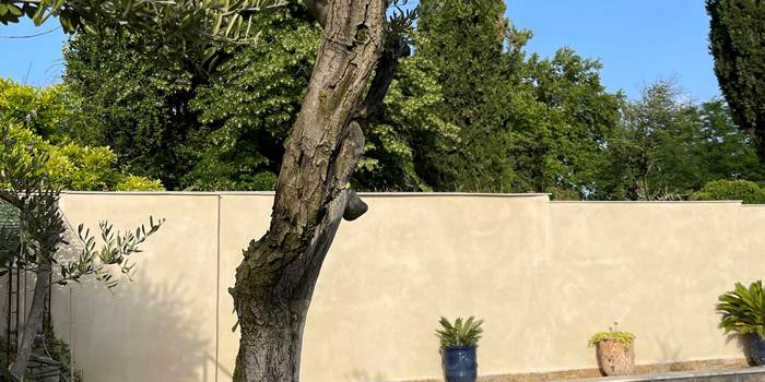 photo_2 (1)
