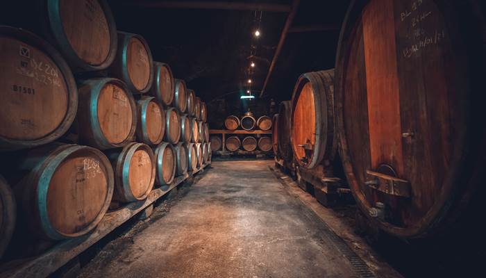 Domaine baud - Photos cave à blancs