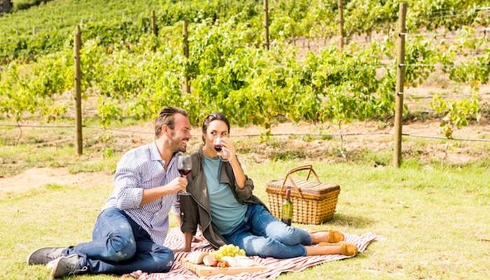 toute-longueur-du-couple-ayant-du-vin-au-vignoble_107420-14749(1)