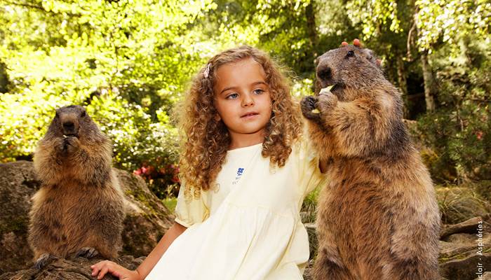 nourrissage-marmottes-parcanimalierdespyrenees