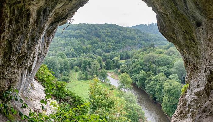 Reserve-naturelle-de-Furfooz--Trou-du-Grand-duc--Christophe-Danaux-2021-010