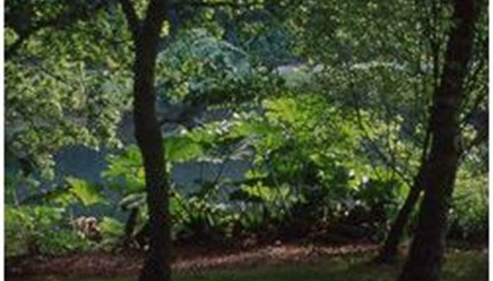 00_conservatoire-botanique-national-de-brest-capturer