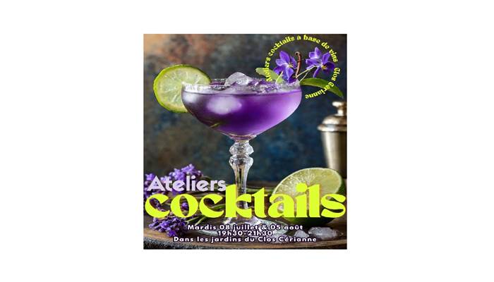VISUEL ATELIERS COCKTAILS FORMAT PHOTO PETIT