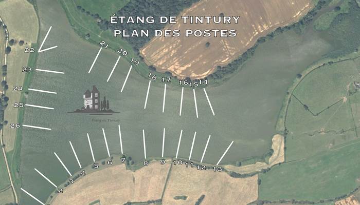 @carpe @pêche @étang @nièvre @tintury @session