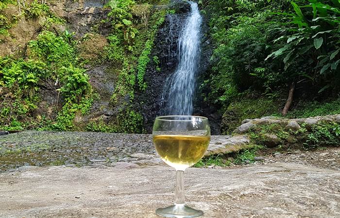 Vin de banane au saut Gendarme - visite excursion gourmande Pile et Face