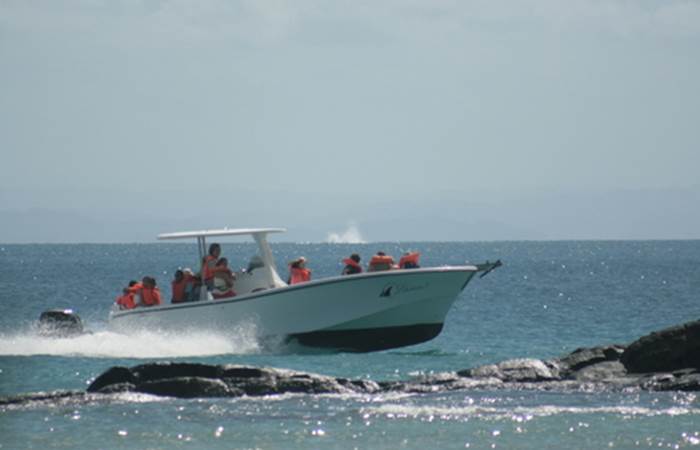 bateau de l'hotel : Libertalia 3 ( retour de sortie )