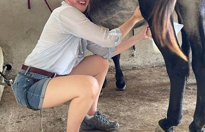 traite-ânesses-hitton