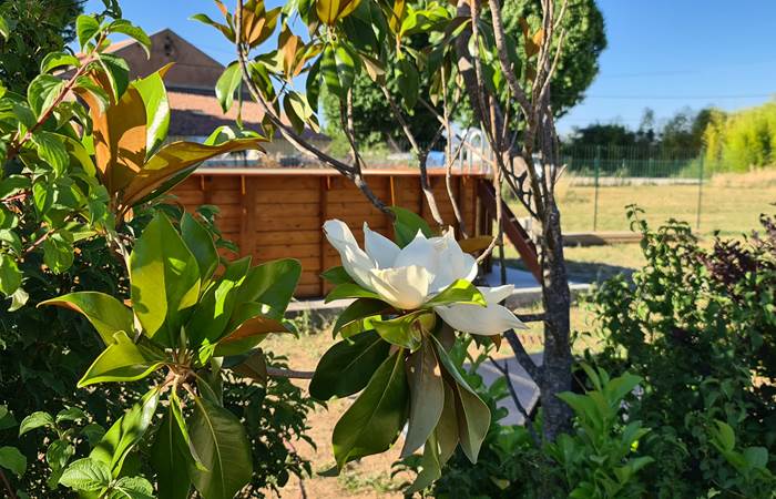 piscine avec vue Sainte Victoire