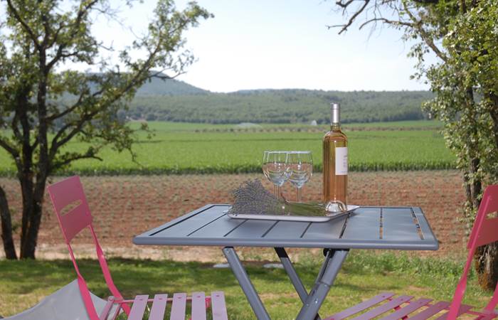 Dégustation d'un Rosé de Provence, avec modération !