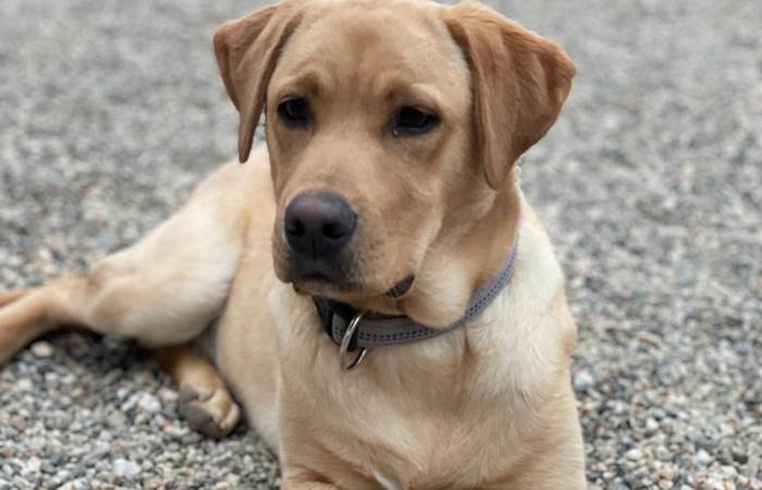 F688CF50-0CBD-4823-A49D-DE764FD6C813