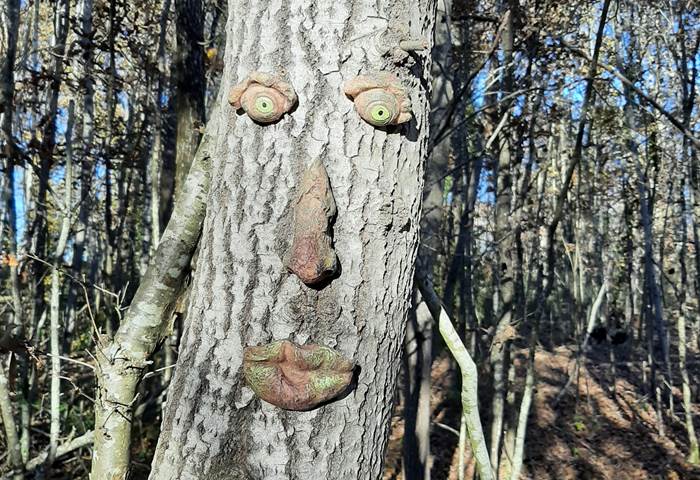 Un arbre vivant