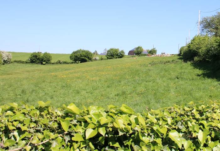Vue de la terrasse