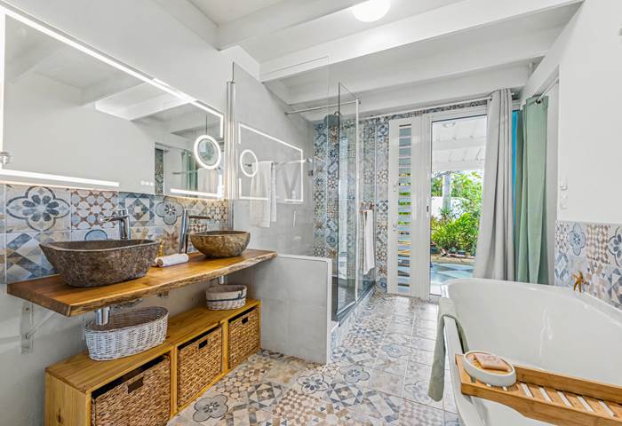 Espace bains et douche de la suite (RDC)
