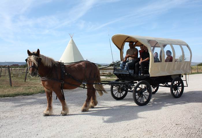Grande calèche bâchée