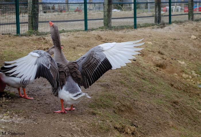 14022022-DSC_0559