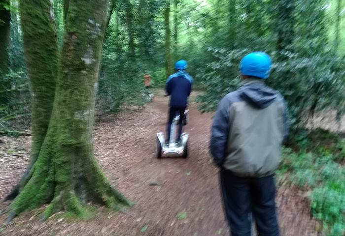 Au pilotage ! slalom entre les arbres ....042019