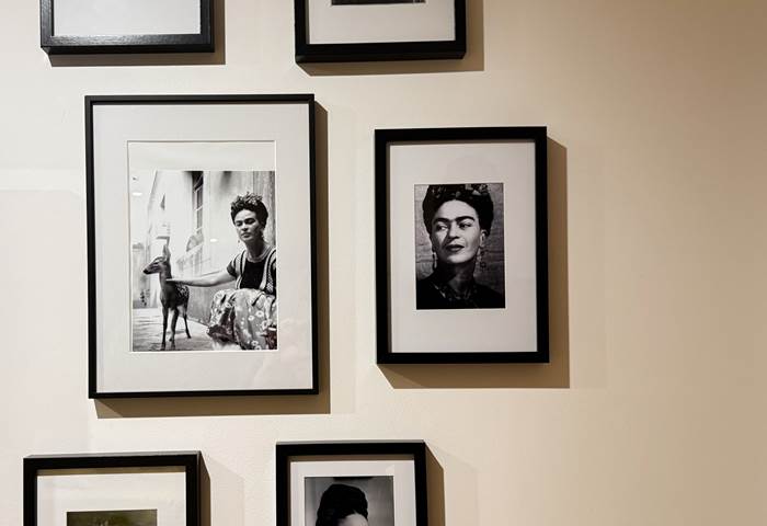 Frida